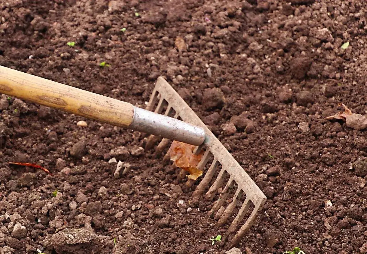 Un r&acirc;teau sur un sol pr&eacute;par&eacute;, pr&ecirc;t pour apprendre comment planter du gazon. Le sol est meuble et pr&ecirc;t &agrave; recevoir les graines.