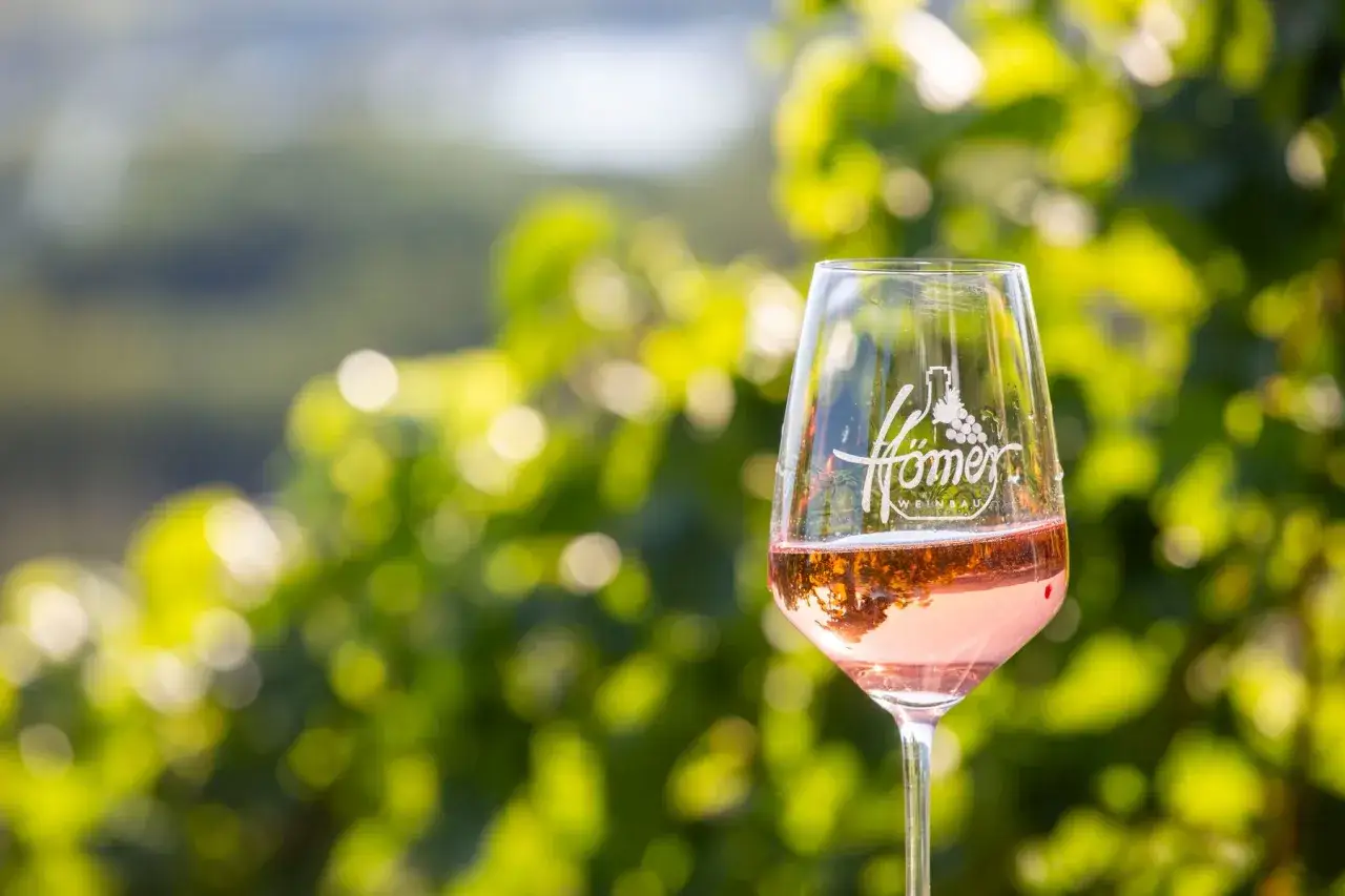 Ein Glas Roséwein vor verschwommenen Weinreben, perfekt für das Weinfest Sand am Main.