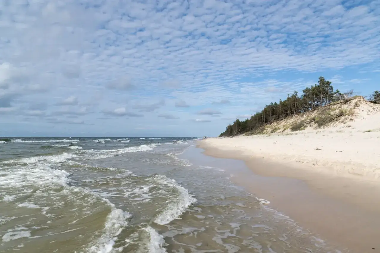 Puste plaże nad Bałtykiem, gdzie fale delikatnie muskają piasek, a las sosnowy wznosi się na wydmach. Spokój i przestrzeń.