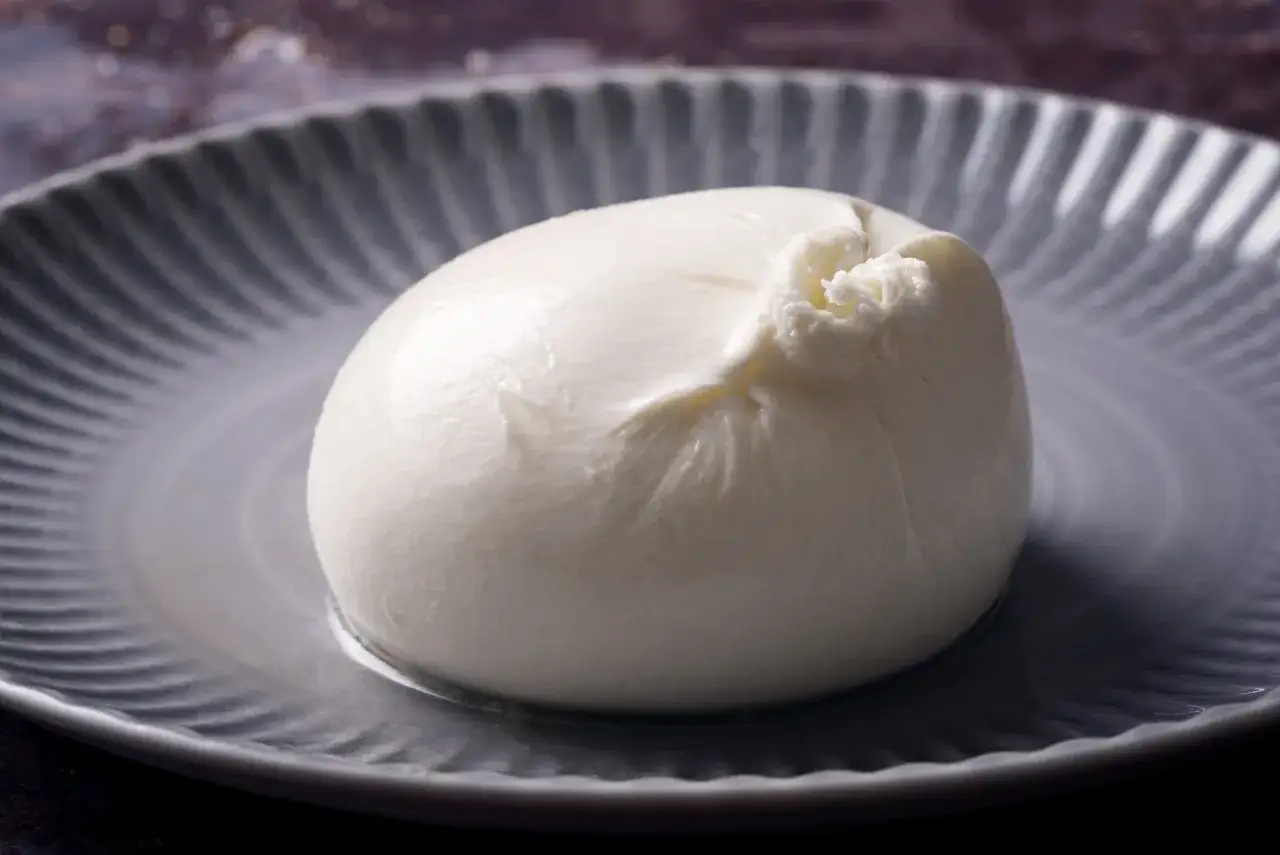 Burrata fresca su piatto grigio, un piacere cremoso per ogni momento, anche in gravidanza.