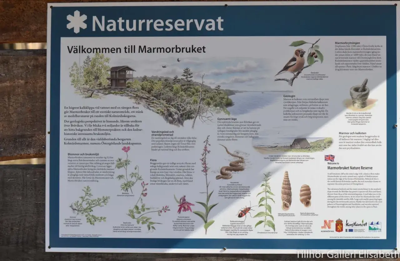 Välkommen till Marmorbruket, ett naturreservat med exotisk flora och världskänd Kolmårdsmarmor.