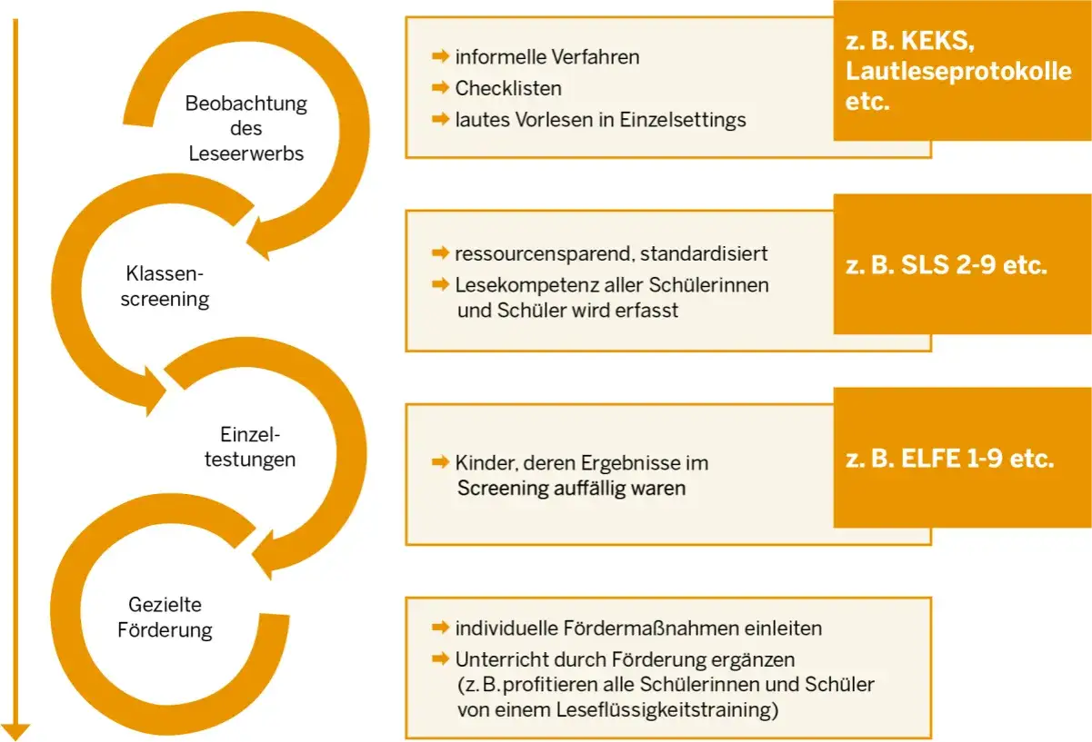 Prozess der LRS Diagnostik: Beobachtung, Klassen-Screening, Einzeltestungen und gezielte F&ouml;rderung mit Beispielen wie KEKS, SLS, ELFE.