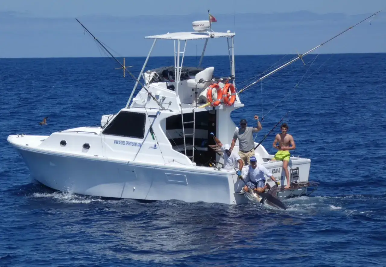Erfolgreiches Azoren Angeln: Ein Marlin wird an Bord einer Angeljacht gezogen, w&auml;hrend die Crew jubelt.