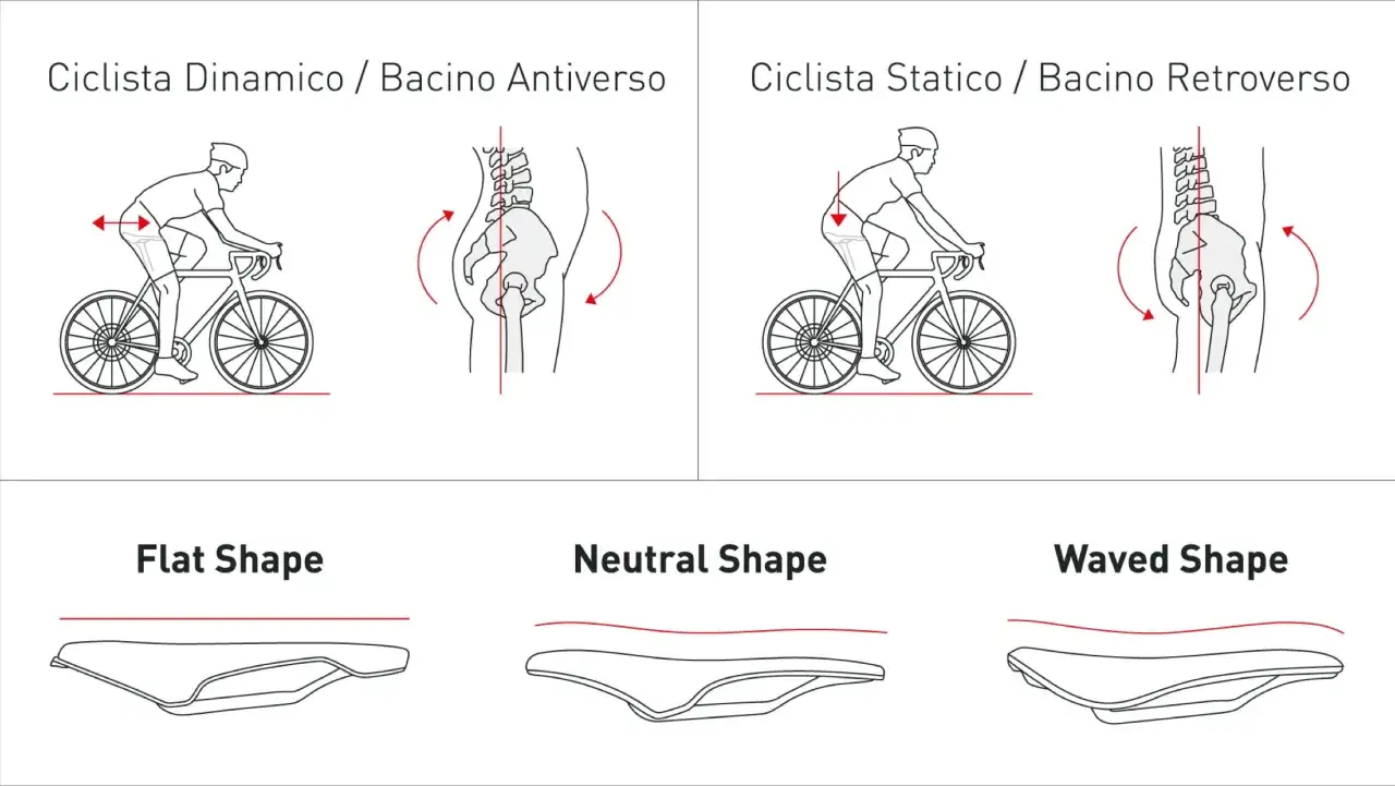 Illustrationen zeigen, wie man den Fahrradsattel ausmessen kann, basierend auf der Beckenposition des Radfahrers und verschiedenen Sattelformen.