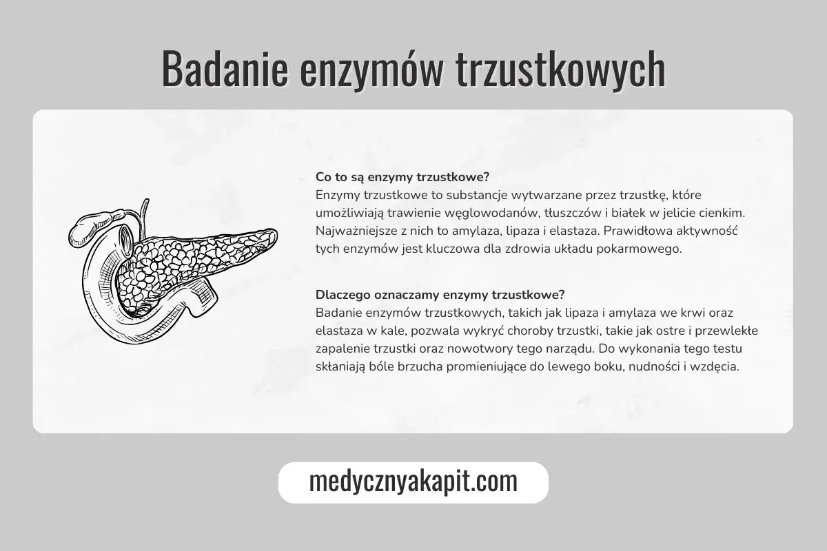Ilustracja przedstawia trzustkę. Badanie enzymów, w tym lipazy, pomaga wykryć choroby trzustki.