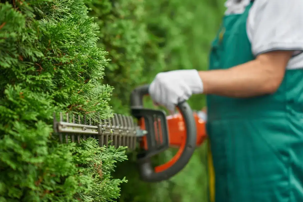 Un jardinier taille une haie avec un taille-haie. Id&eacute;al pour le **cr&eacute;dit d'imp&ocirc;t entretien jardin r&eacute;sidence secondaire**.