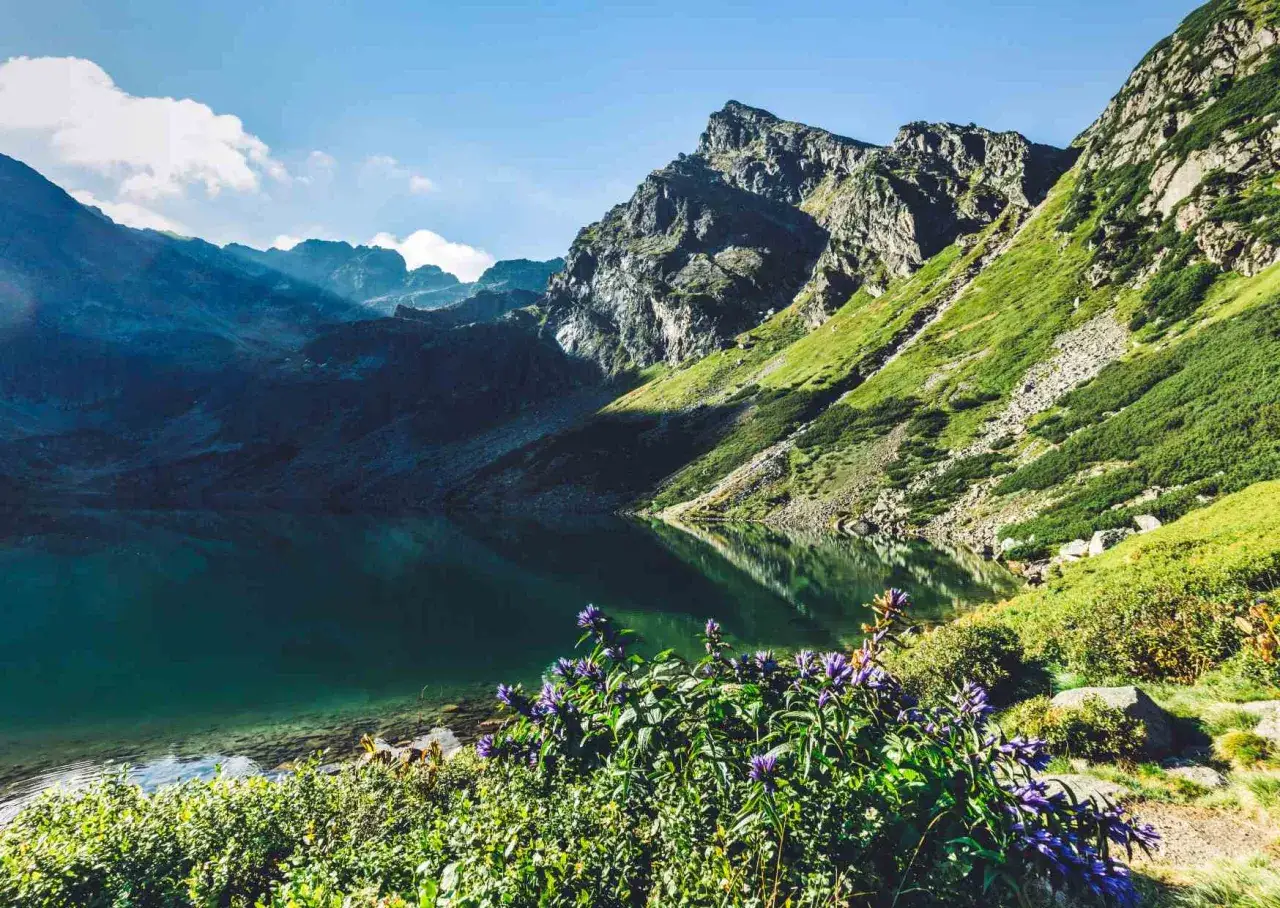 Gdzie pojechać na dwa dni? Jezioro Morskie Oko w Tatrach, otoczone stromymi, zielonymi zboczami i skalistymi szczytami, z fioletowymi kwiatami na pierwszym planie.