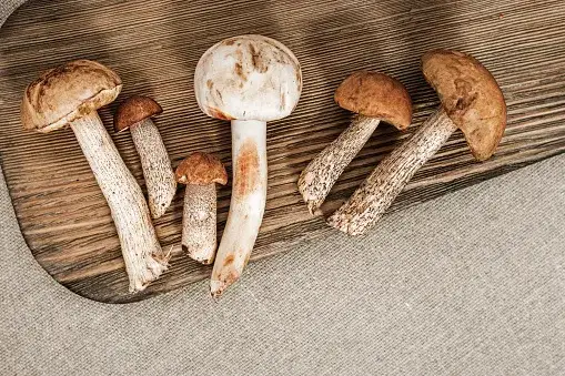 r&oacute;żne rodzaje grzyb&oacute;w jadalnych na drewnianym stole
