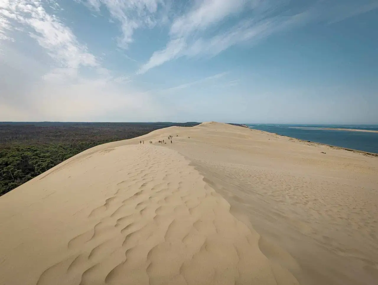 Vastas dunas de arena en la costa atlántica francesa, con un bosque verde a la izquierda y el océano azul al fondo.