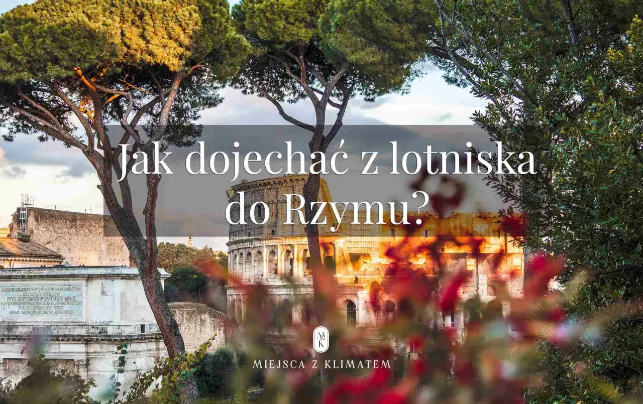 Koloseum w Rzymie, widok z drzew. Jak dojechać z lotniska do Rzymu?