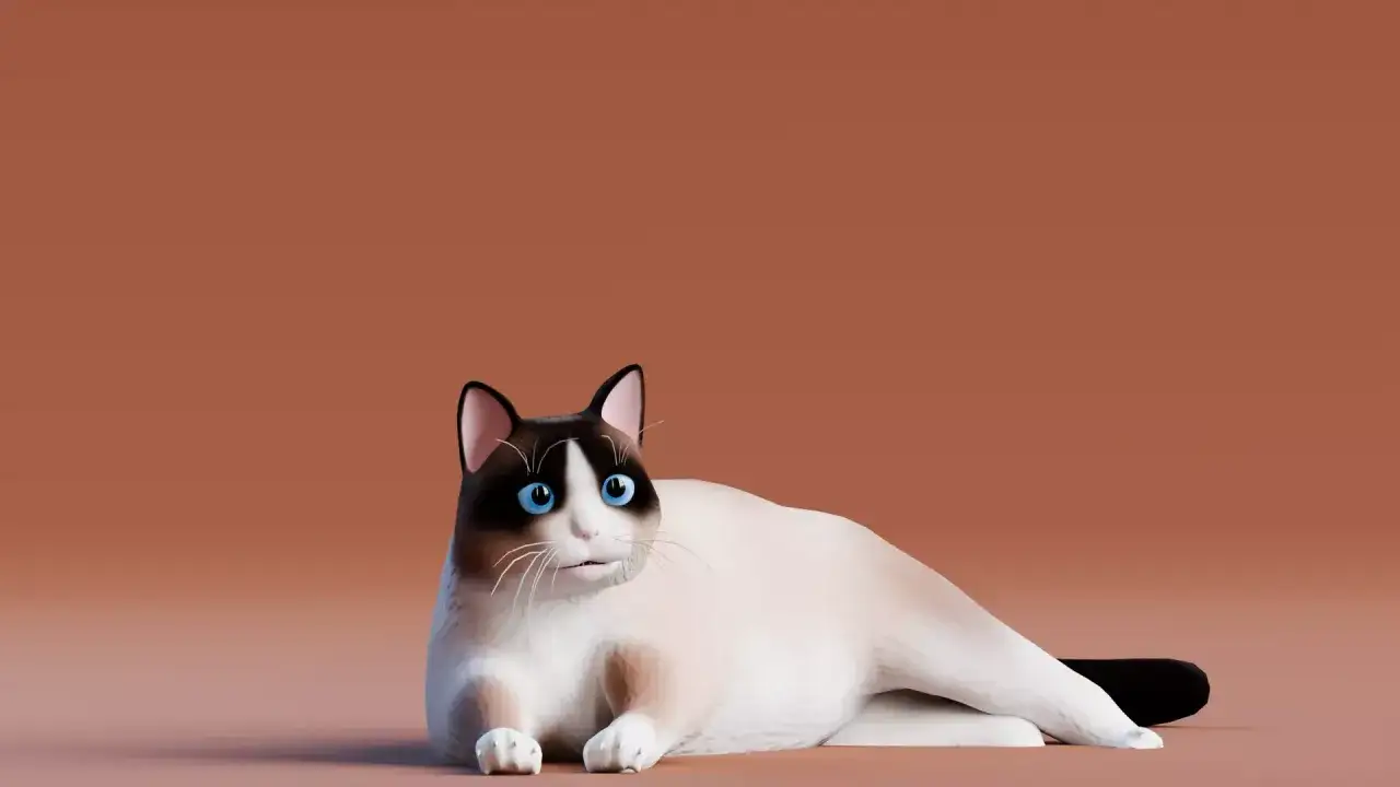 Urocze zwierzęta w 3D: kot rasy Ragdoll z niebieskimi oczami leży na brązowym tle.
