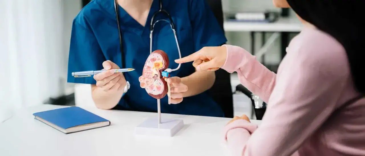 Lekarz omawia z pacjentką jakie badania na nerki są potrzebne, wskazując na model narządu.