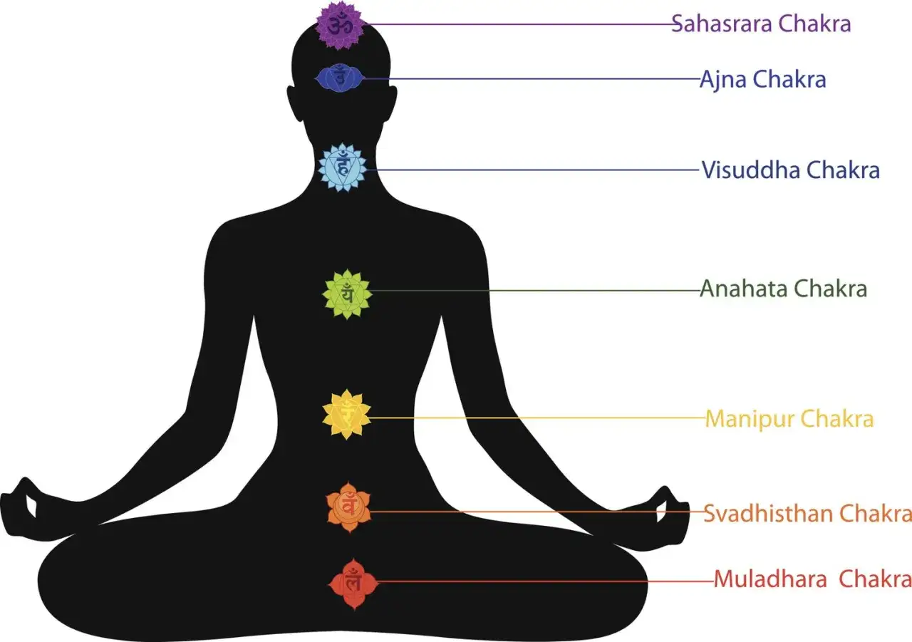 Silueta en posición de loto con chakras alineados y sus nombres en inglés.