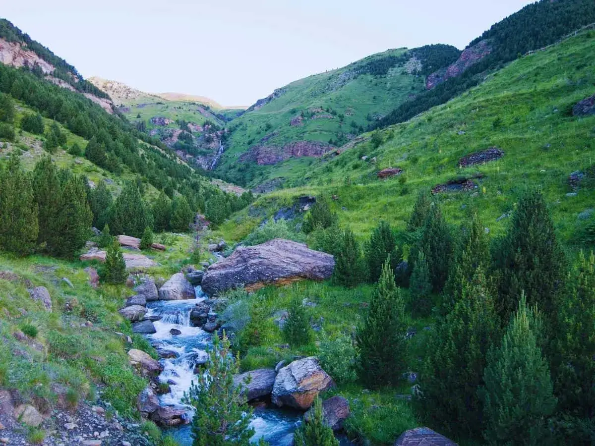 Un arroyo serpentea por un valle verde con pinos, ideal para benasque rutas sencillas.