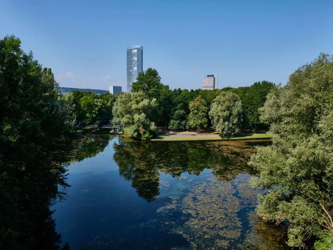 Ein ruhiger See mit Spiegelungen von Bäumen und modernen Hochhäusern im Hintergrund. Hier kann man in Bonn entspannen und die Natur genießen.