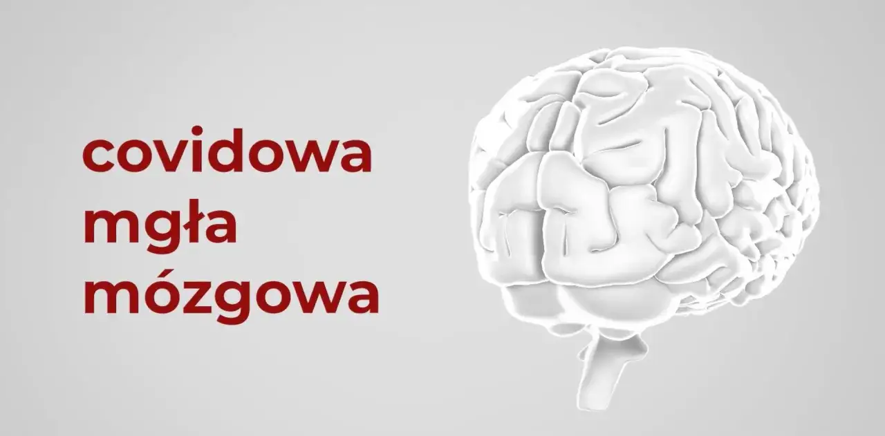 Biały mózg obok napisu