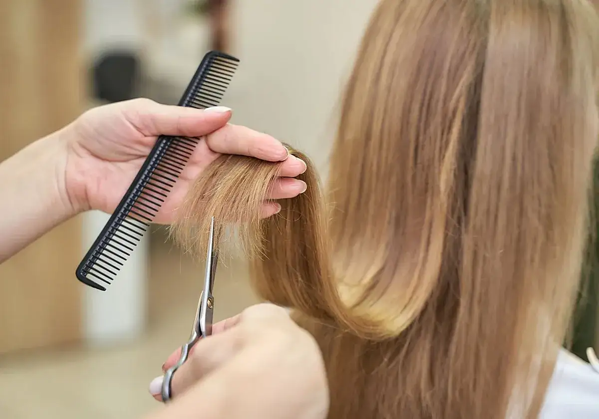 Manos de estilista peinando y realizando un corte en seco a cabello rubio con tijeras y peine.