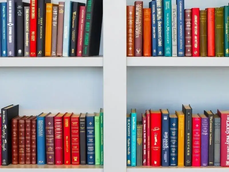 różnorodność książek na półce literatura piękna