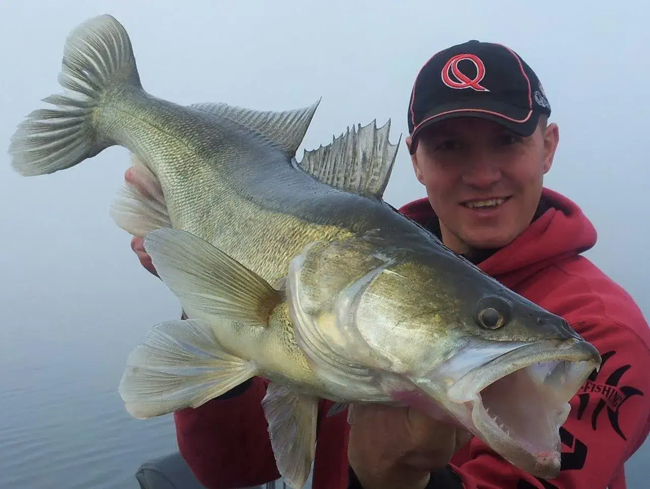 Gl&uuml;cklicher Angler pr&auml;sentiert stolz einen riesigen Zander, gefangen im Edersee. Diese Edersee Fische sind beeindruckend!