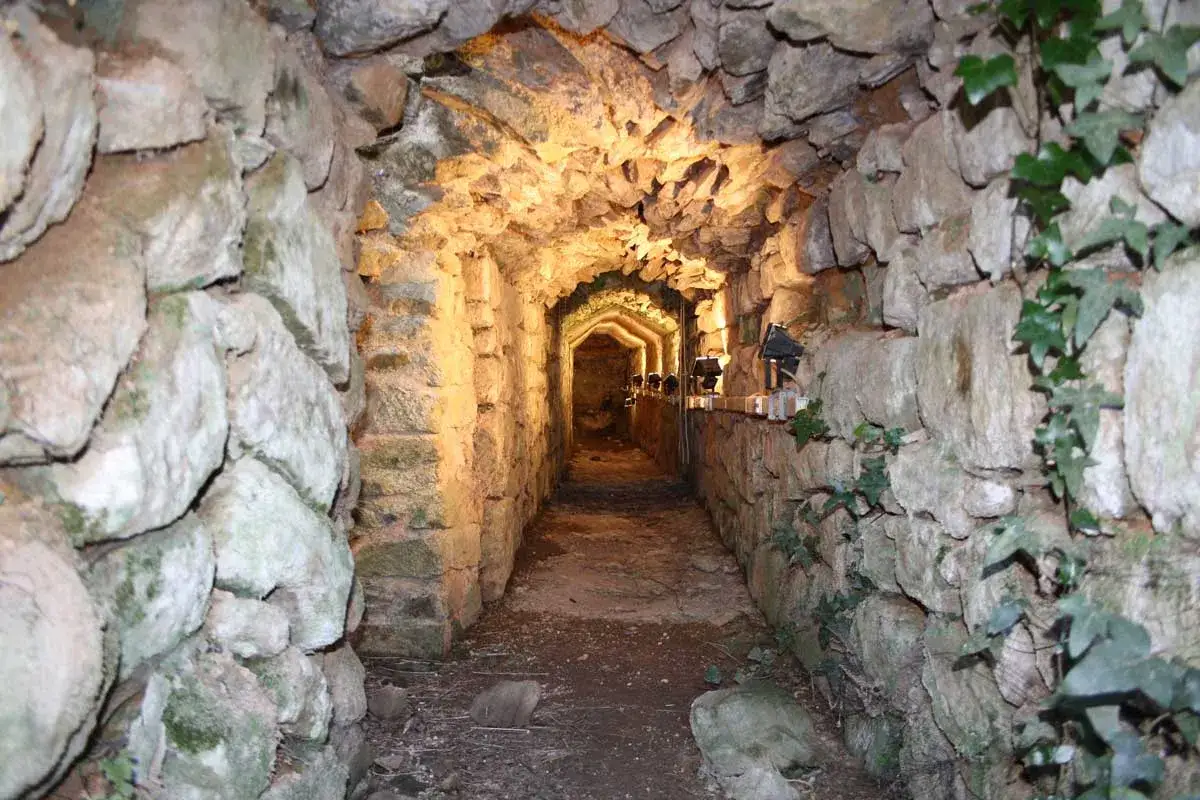 Un suggestivo corridoio in pietra illuminato, parte di **Vetulonia cosa vedere**. Un viaggio nel tempo tra antiche mura.