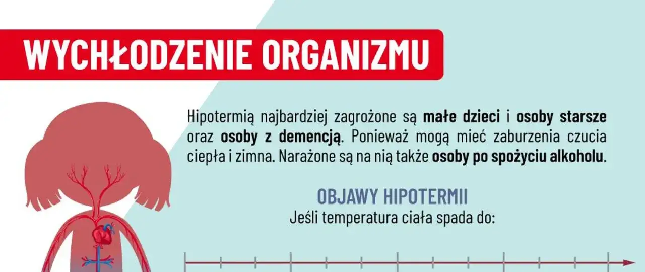 Wykres o wychłodzeniu organizmu. Hipotermia zagraża osobom po spożyciu alkoholu, które mogą odczuwać zimno.