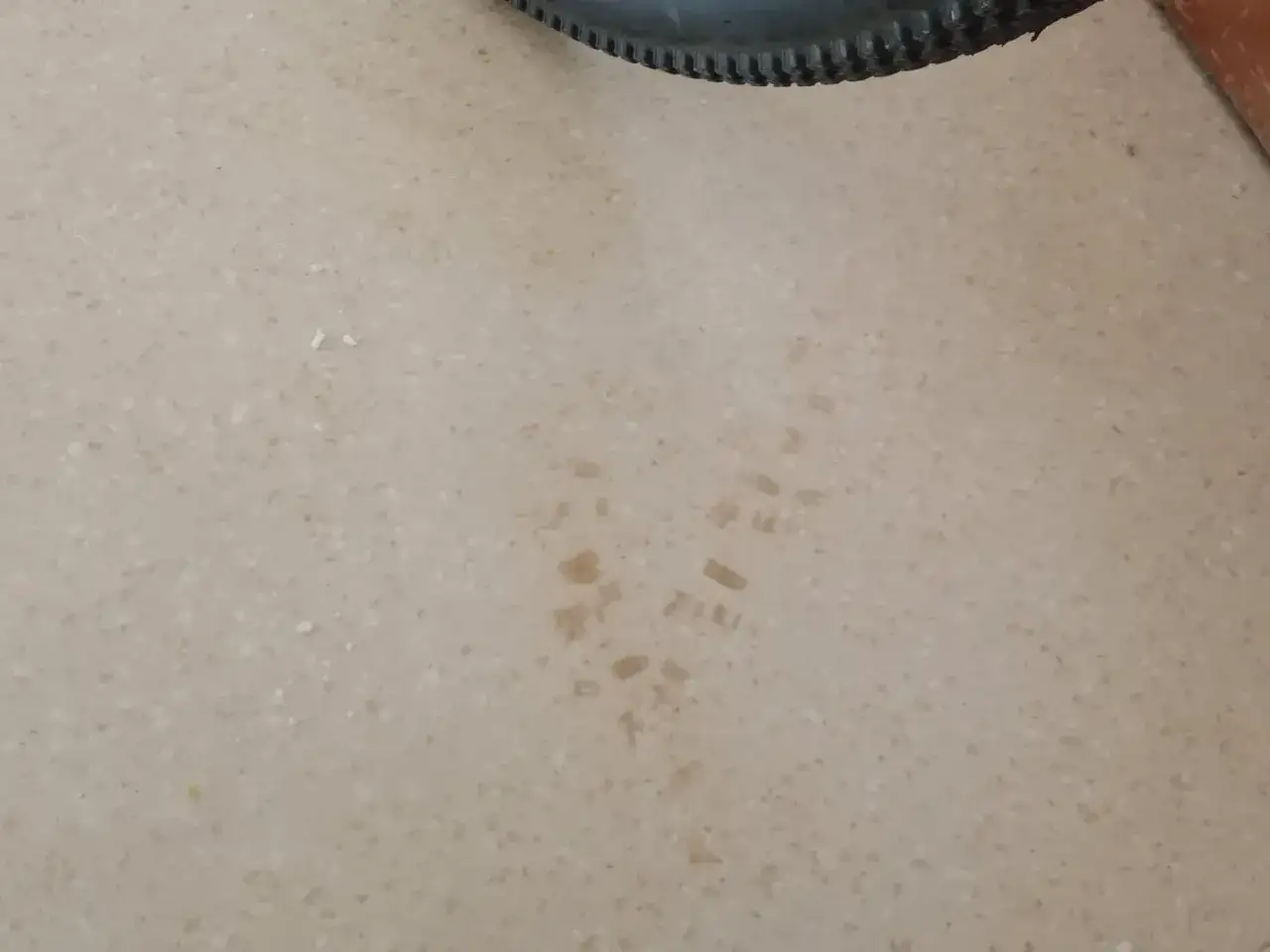 Une trace de lino tache incrust&eacute;e sur le sol, peut-&ecirc;tre laiss&eacute;e par un pneu.