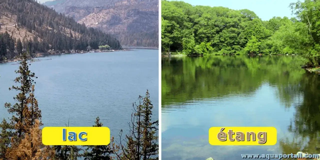 Comparaison visuelle de la diff&eacute;rence entre lac et &eacute;tang : un grand plan d'eau bord&eacute; de montagnes &agrave; gauche, un petit plan d'eau entour&eacute; de verdure &agrave; droite.