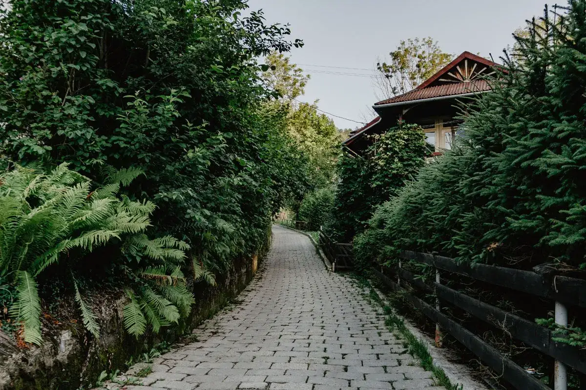 Kamienista ścieżka prowadzi do urokliwej bacówki pod Bereśnikiem, otoczonej bujną zielenią i iglastymi drzewami.