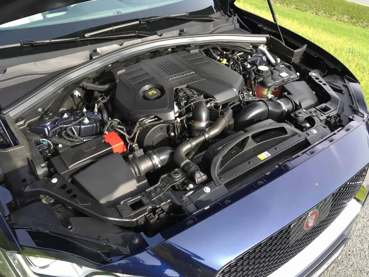Der Jaguar F-PACE 3.0 Diesel Motor, Hersteller Jaguar, ist unter der ge&ouml;ffneten Motorhaube zu sehen.