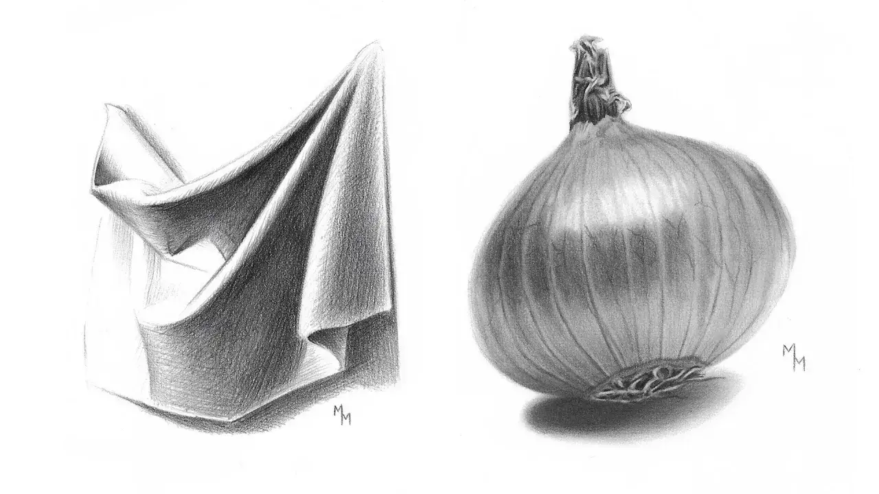 Dessin estompe d'un tissu plissé et d'un oignon réaliste, avec des ombres douces et des textures fines.