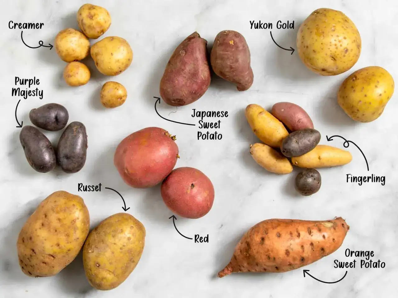 Verschiedene Kartoffelsorten: Creamer, Purple Majesty, Russet, Red, Yukon Gold, Fingerling, Japanese Sweet Potato und Orange Sweet Potato. Perfekt f&uuml;r jede kochzeit kartoffeln.