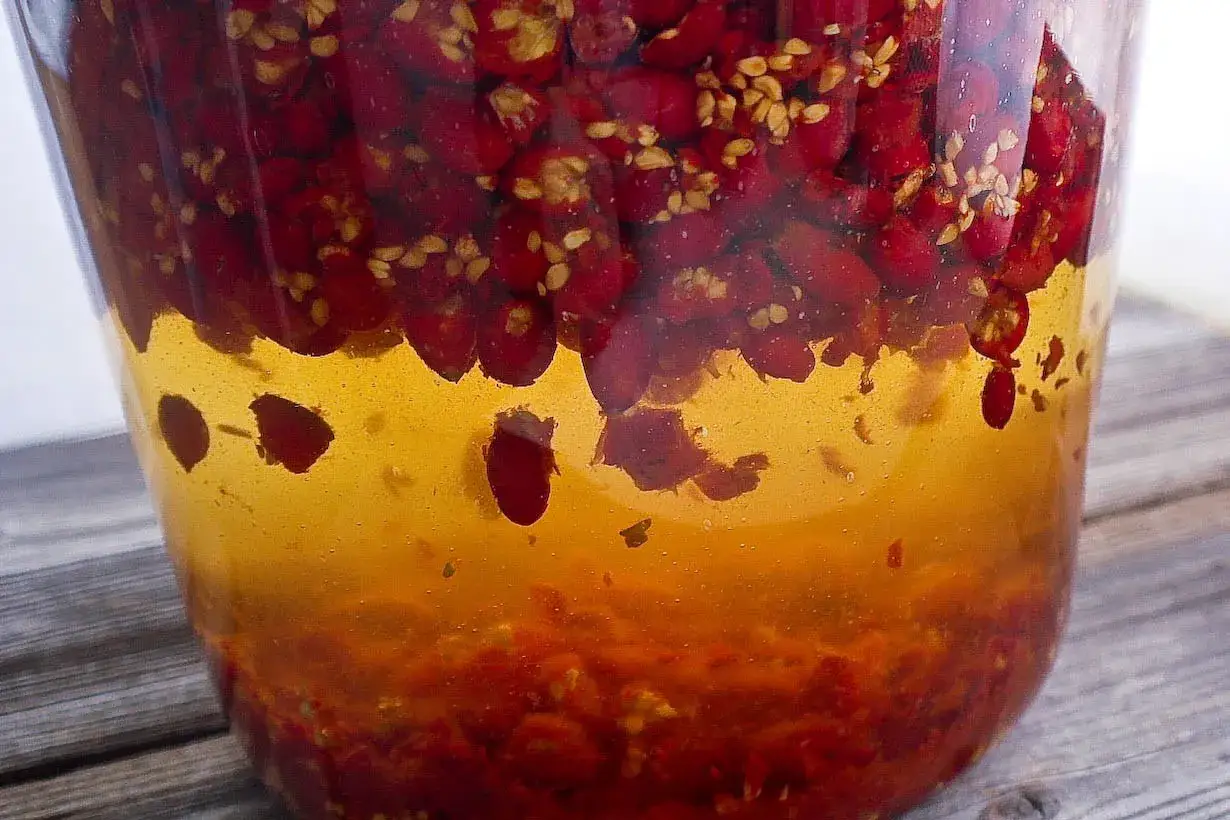 Wino z dzikiej r&oacute;ży przepis: czerwone owoce w słodkim syropie, gotowe do fermentacji.