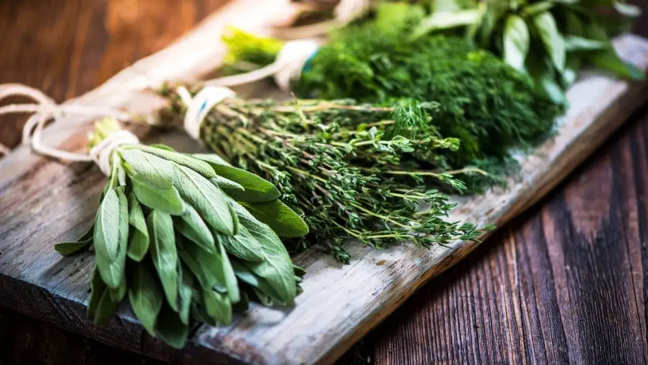 Manzanos de salvia, tomillo y eneldo listos para usar en tus platos. Descubre los usos de las hierbas provenzales.