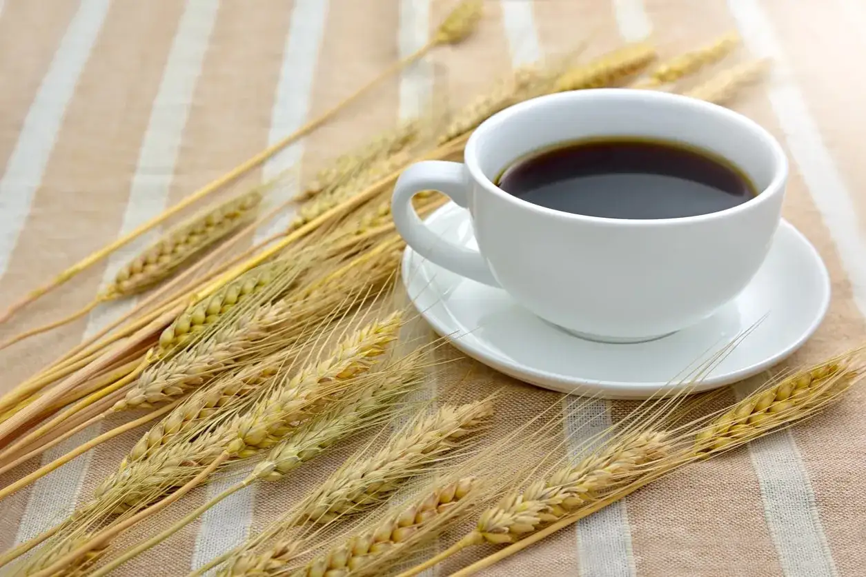 Tazza bianca di orzo caf&eacute; su piattino, circondata da spighe dorate su una tovaglia a righe.