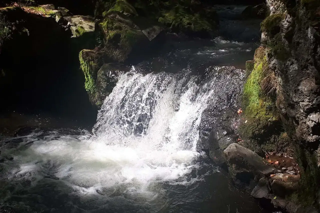 La cascade de Chiloza dévale dans un bassin écumeux, entourée de rochers moussus et d'une végétation luxuriante. L'eau claire et vive crée un spectacle naturel apaisant.