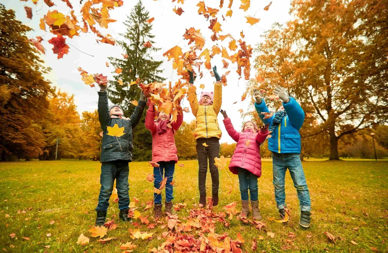 Cinq enfants, âgés d'environ 5 ans, lancent des feuilles d'automne en l'air dans un parc.