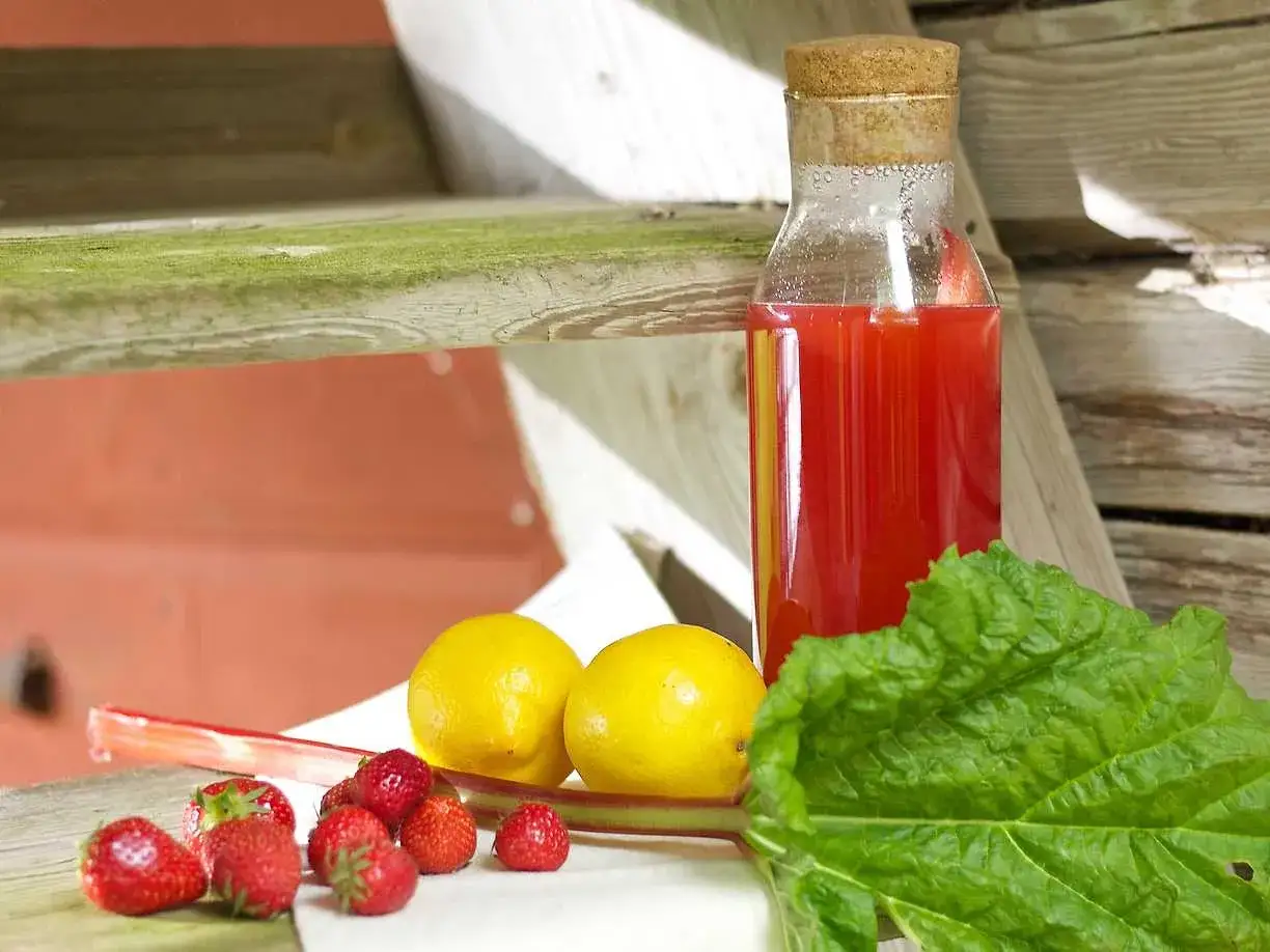 En flaska med rabarberlemonad står bredvid färska jordgubbar, citroner och rabarberblad.