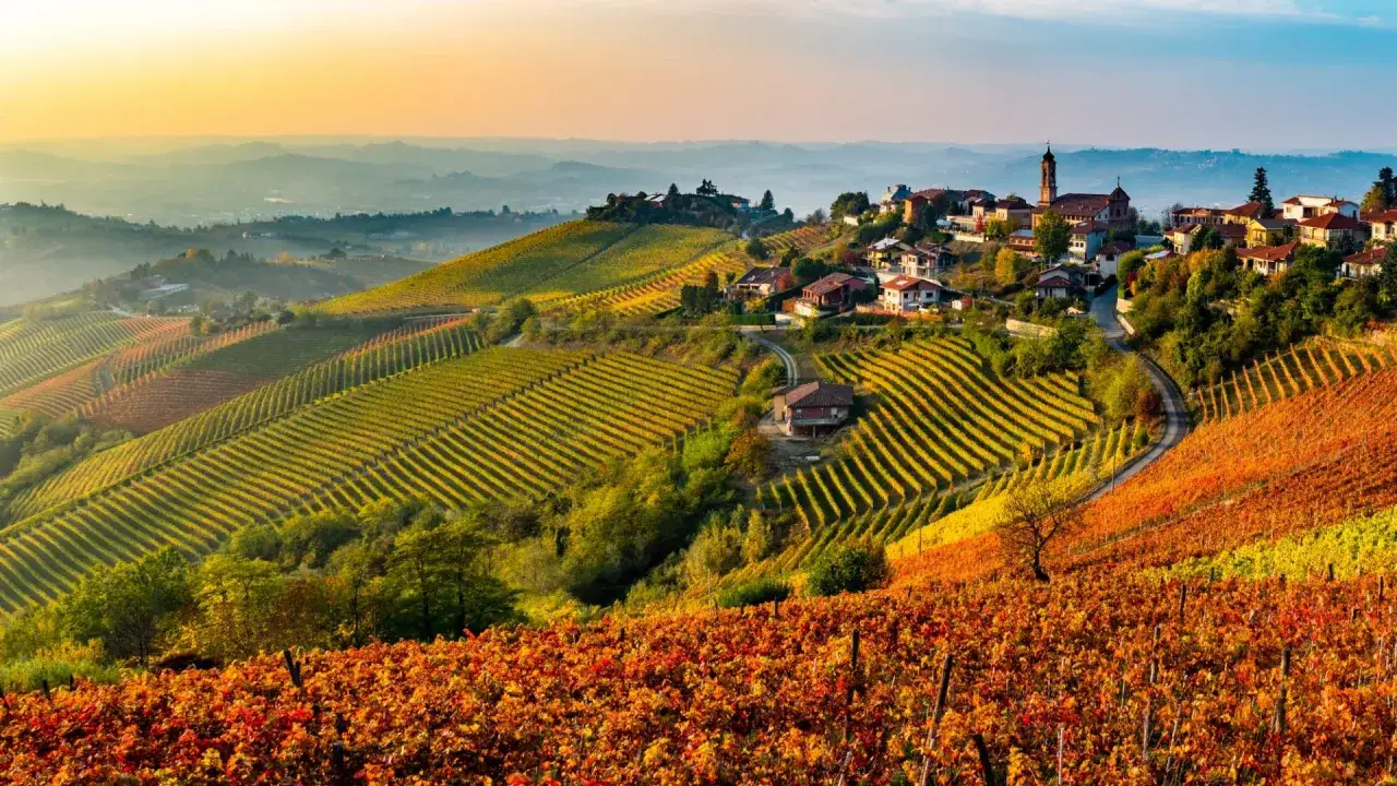 Colline dorate e rosse di vigneti in autunno, con un borgo arroccato. Un invito a scoprire dove andare nelle Langhe per panorami mozzafiato.