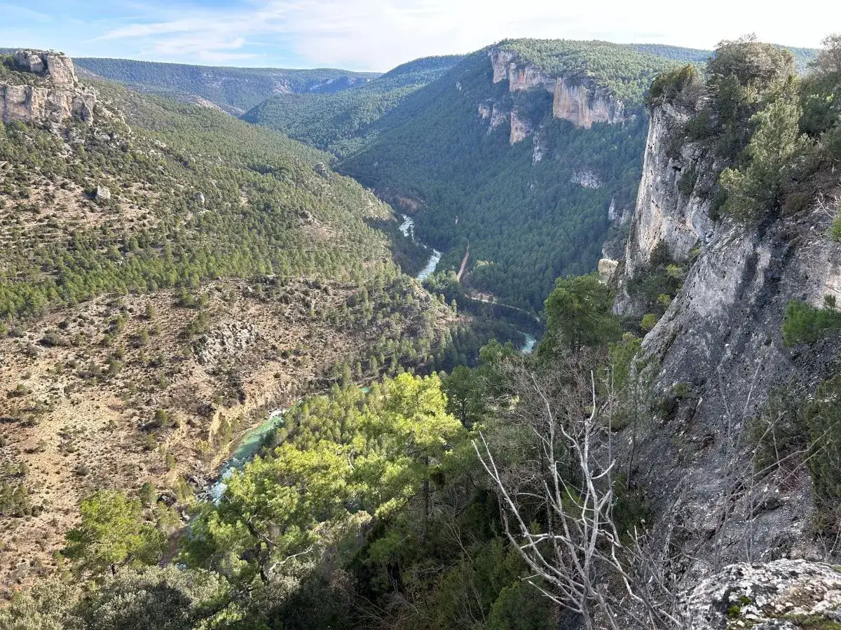 Un ca&ntilde;&oacute;n verde con un r&iacute;o turquesa serpenteando. Las laderas est&aacute;n cubiertas de pinos y formaciones rocosas. Un lugar perfecto para hacer senderismo y disfrutar de las vistas del **zaorejas alto tajo**.