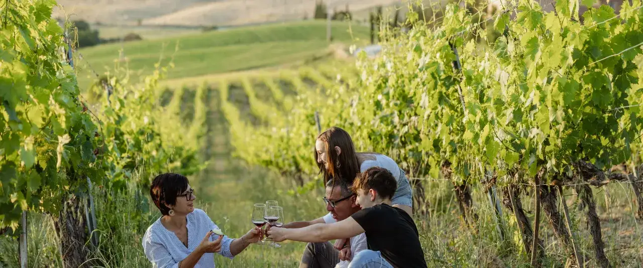 Famiglia brinda tra i vigneti, assaporando il vino in un paesaggio che ricorda dove si trova Montalcino.