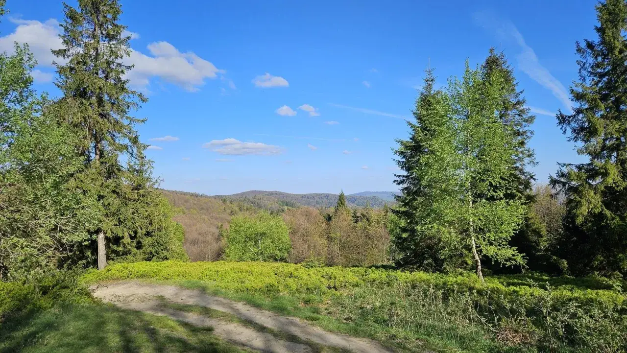 Piękny widok na Popradzki Park Krajobrazowy. Droga wśród zieleni, drzew i pagórków pod błękitnym niebem.