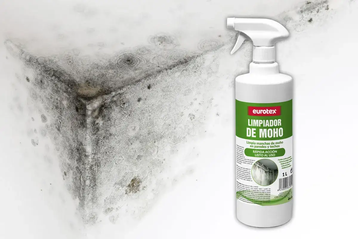 Un rincón de pared con moho negro y un bote de limpiador Eurotex, ideal como remedios caseros para quitar el moho de las paredes.