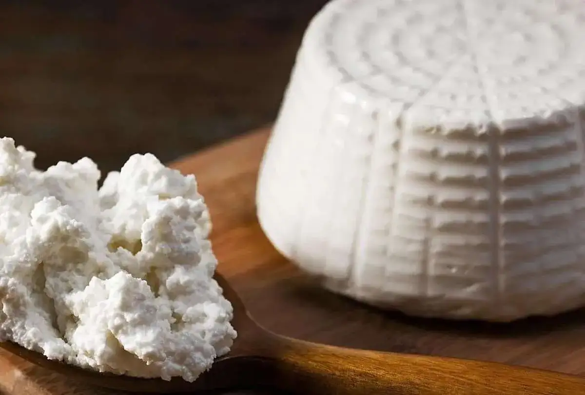 Ricotta di pecora fresca e compatta, con un cucchiaio di ricotta sgranata. Ideale per scoprire i suoi benefici e i ricotta di pecora valori nutrizionali.