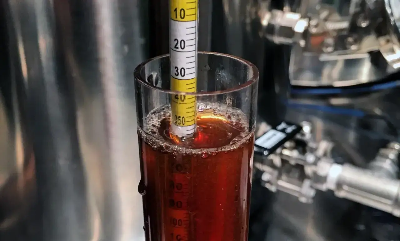 Mesure de la densit&eacute; d'une bi&egrave;re en cours de fermentation. Le densim&egrave;tre indique la progression de la dur&eacute;e fermentation bi&egrave;re.