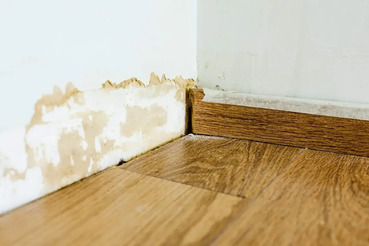 Esquina de pared con humedad y moho, indicando la enfermedad de los edificios. El zócalo de madera y el suelo laminado están afectados.