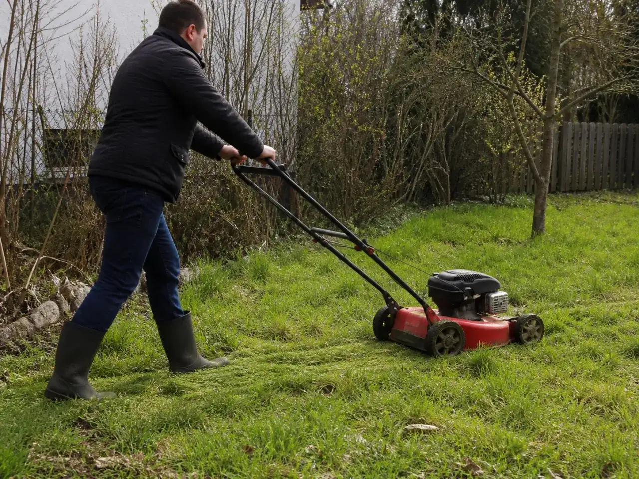 Mężczyzna w gumowcach wykonuje pierwsze koszenie po zimie. Trawnik w ogrodzie odzyskuje świeży wygląd.