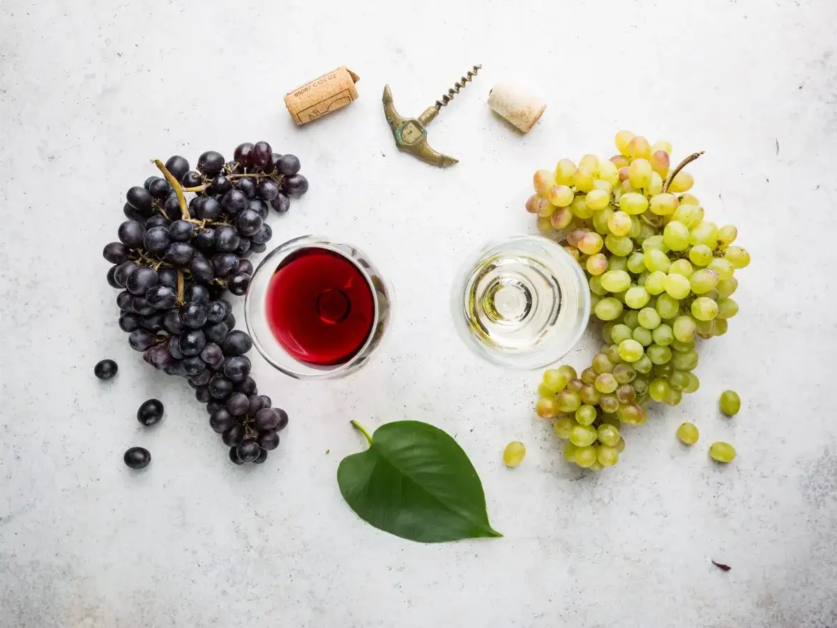 Z czego robi się wino? Z ciemnych i jasnych winogron, kieliszk&oacute;w z winem, korkociągu i liścia.