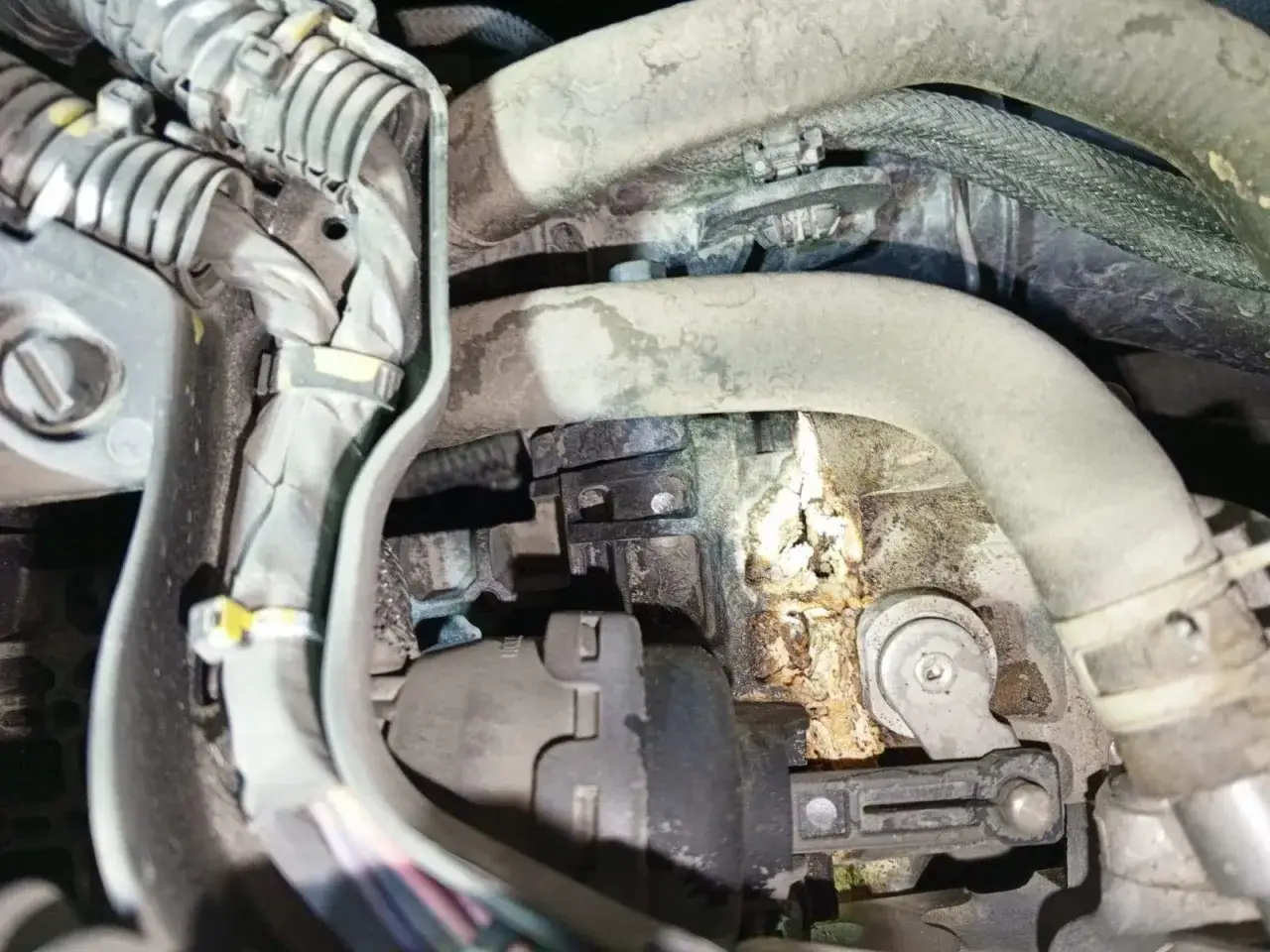 Aquí se muestra la ubicación de la válvula EGR en un Citroën C5, rodeada de mangueras y cables.