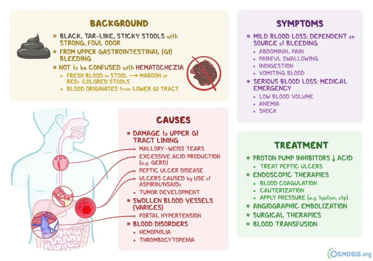 Sintomi di sanguinamento gastrointestinale: feci nere, catramose, con odore forte, possibili dolori addominali. La **diarrea con sangue** può indicare problemi seri.
