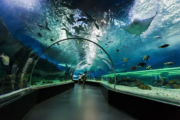 Orientarium Łódź podwodny tunel rekiny